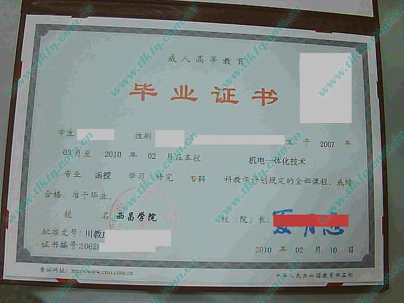 西昌学院2010年成人教育函授大专毕业证（机电一体化技术）