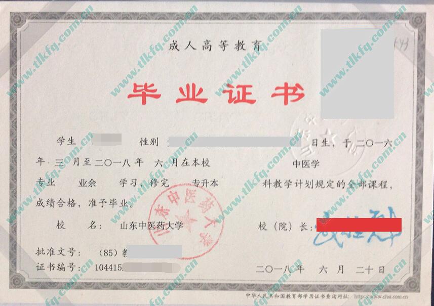 山东中医药大学