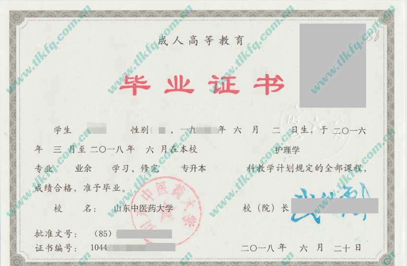 山东中医药大学