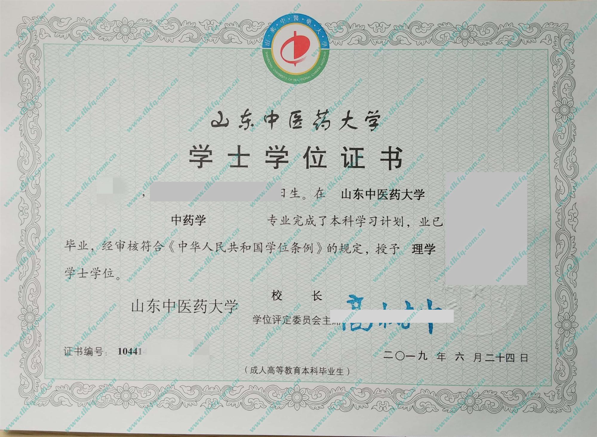 山东中医药大学