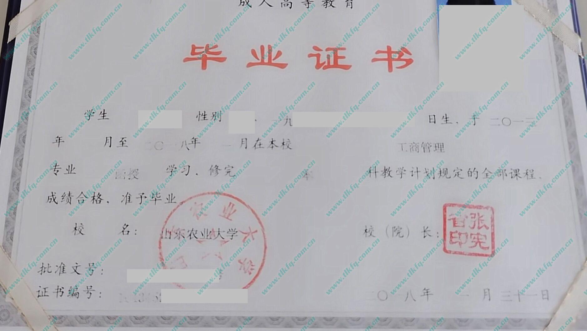山东农业大学2018年函授本科毕业证样本（工商管理）