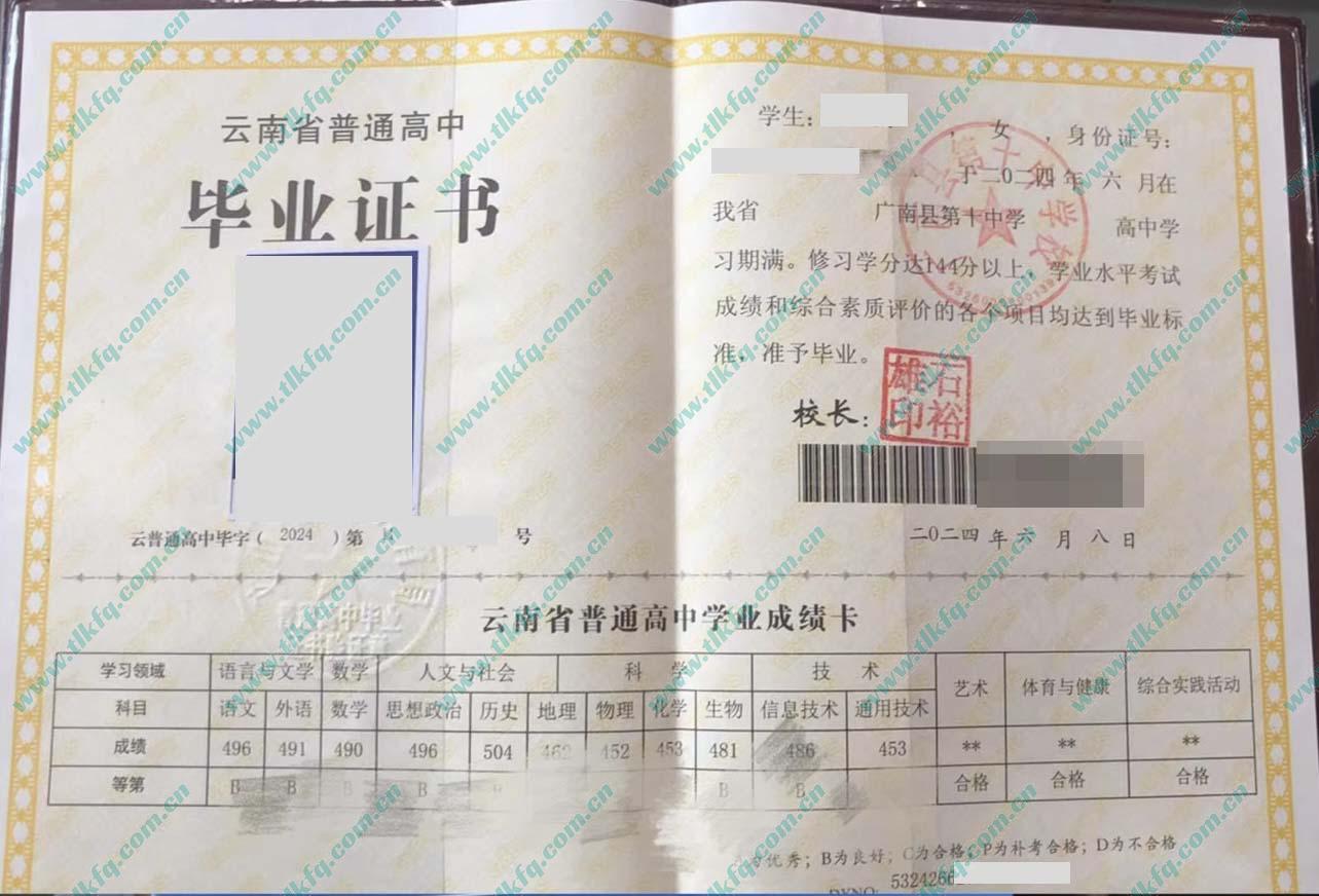 云南省广南县第十中学校高中毕业证样本