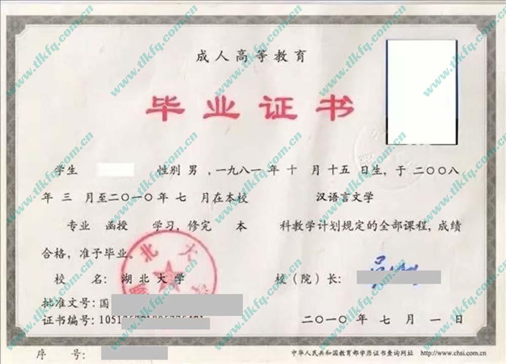 湖北大学2010年成人函授本科毕业证样本（汉语言文学）
