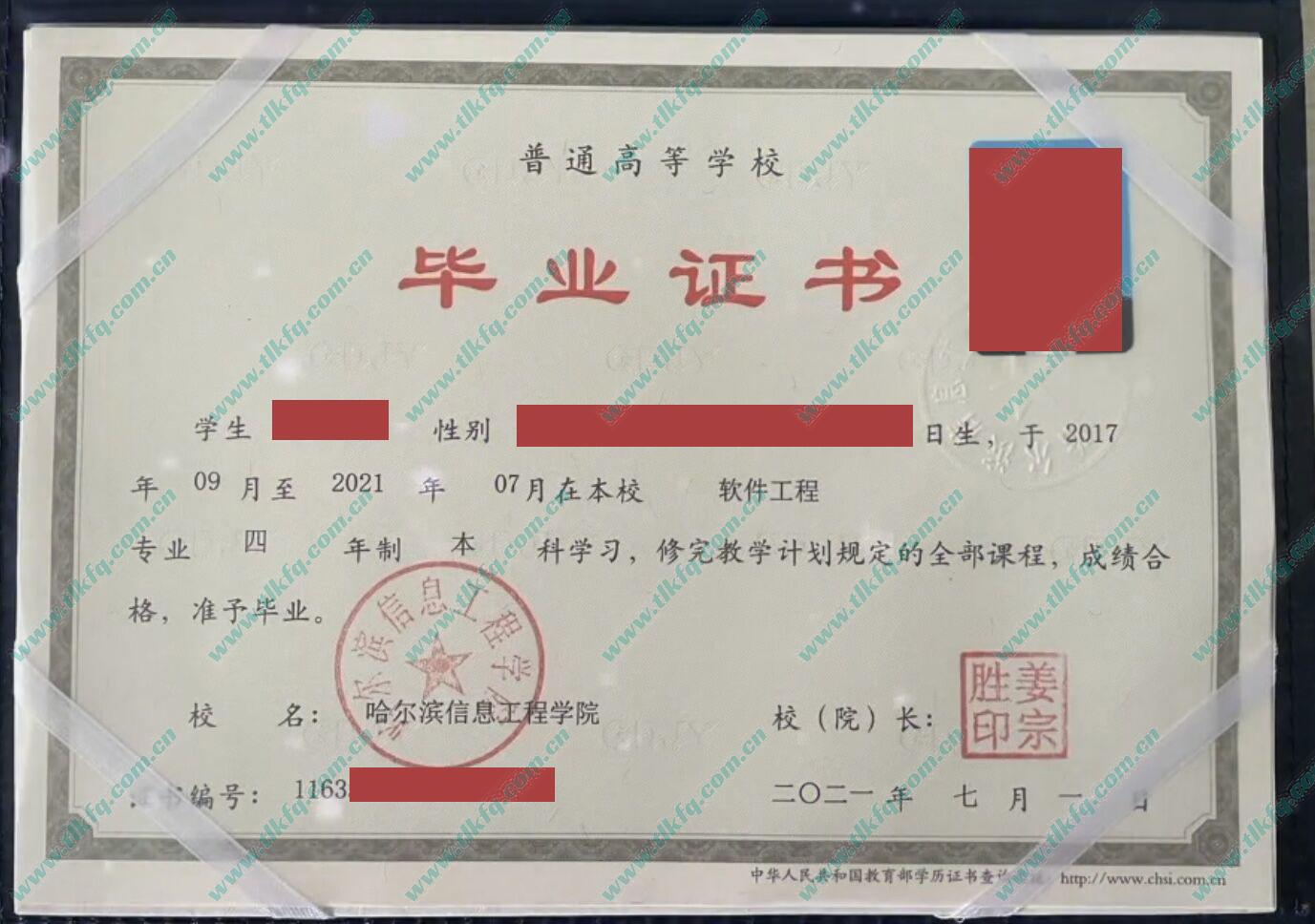 哈尔滨信息工程学院毕业证及学位证样本
