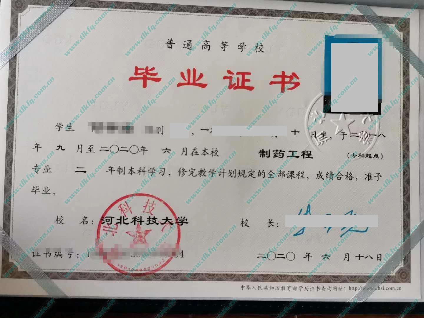 河北科技大学2020年本科毕业证样本（制药工程）