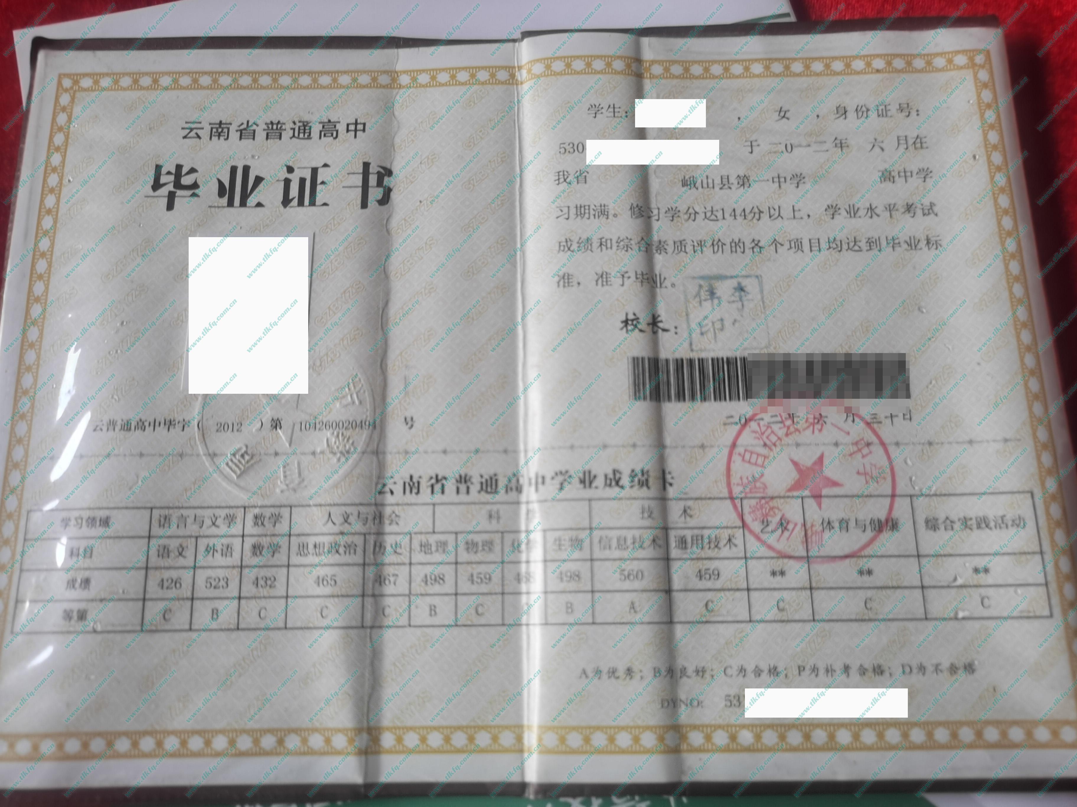 峨山县第一中学高中毕业证样本