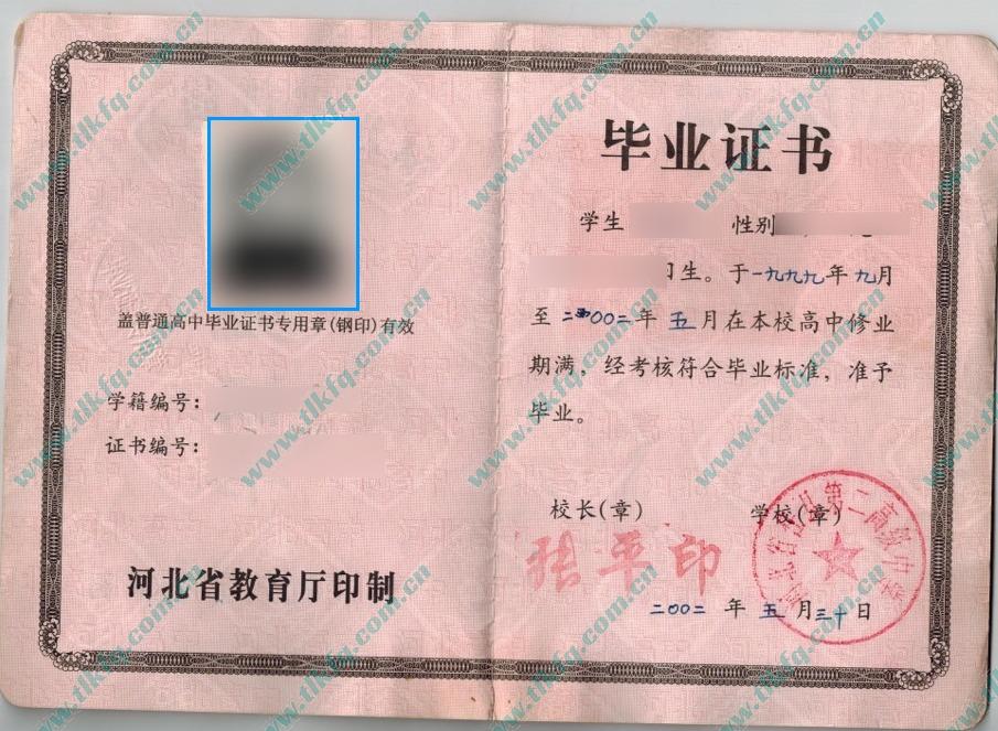河北省任县第二高级中学2002年高中毕业证样本