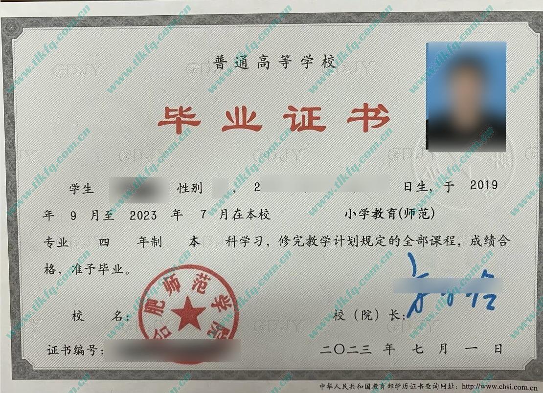 合肥师范学院2024年全日制本科毕业证样本（小学教育 师范）