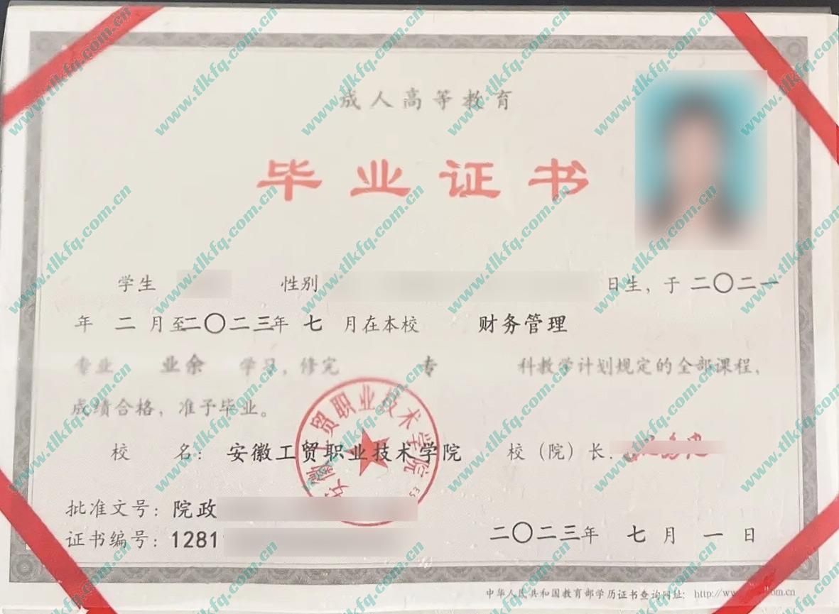 安徽工贸职业技术学院2023年成人大专毕业证样本（财务管理）