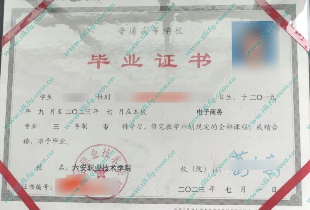 六安职业技术学院2023年全日制大专毕业证样本（电子商务）
