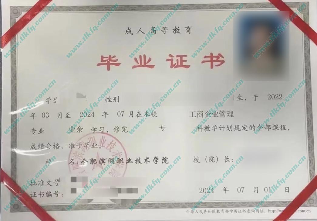 合肥滨湖职业技术学院2024年成人大专毕业证样本（工商企业管理）