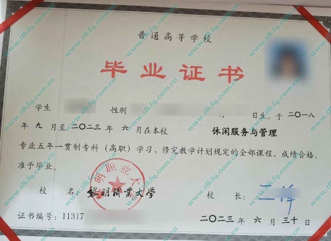 黎明职业大学毕业证样本