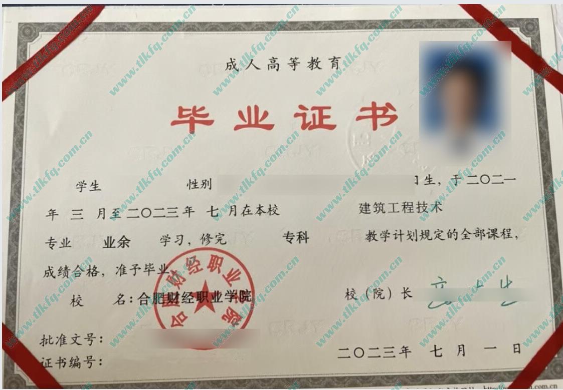 合肥财经职业学院毕业证样本图片