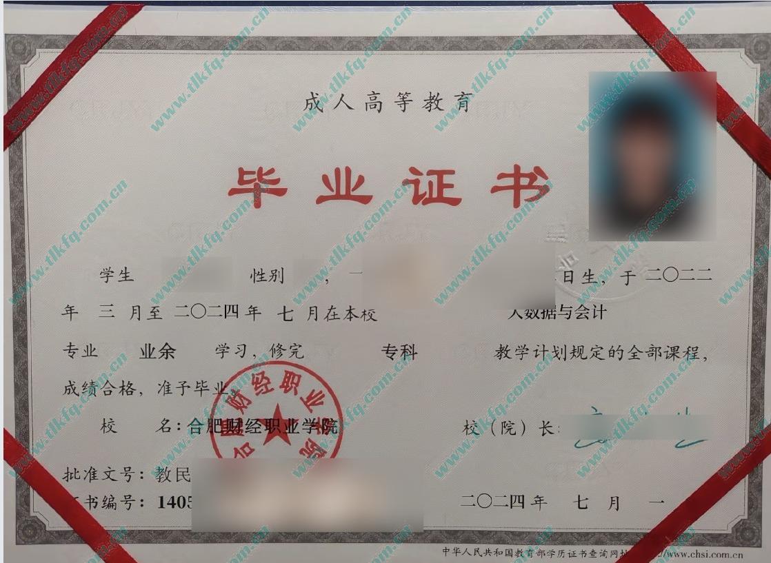 合肥财经职业学院2024年成人业余大专毕业证样本（大数据与会计）