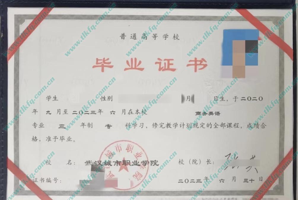 武汉城市职业学院大专毕业证样本